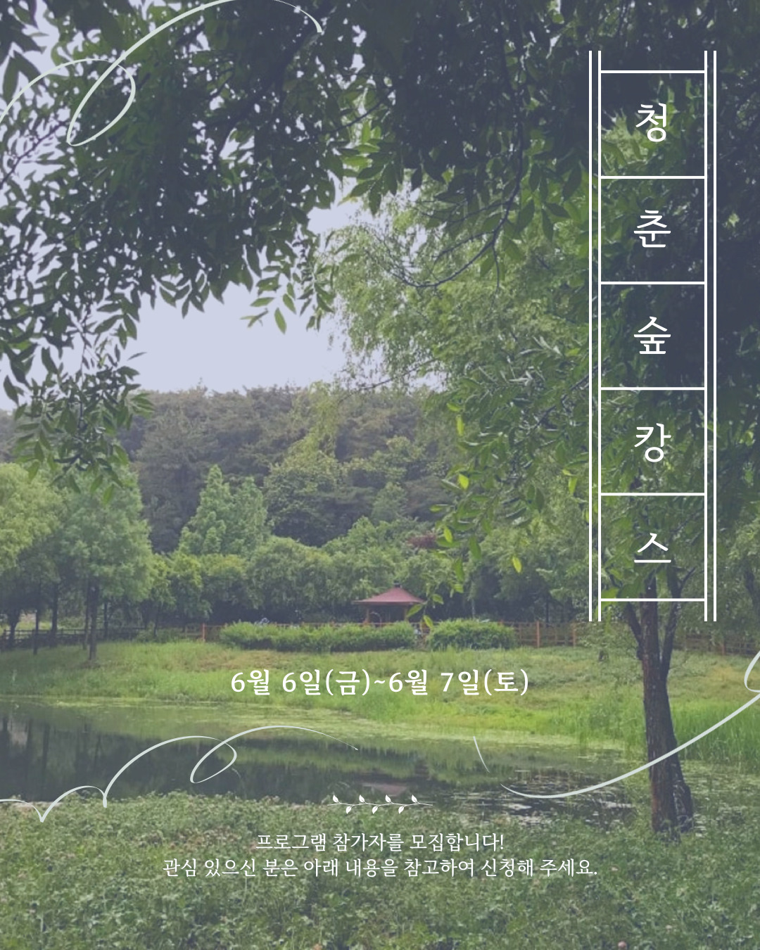 2025년 청춘숲캉스 2회차